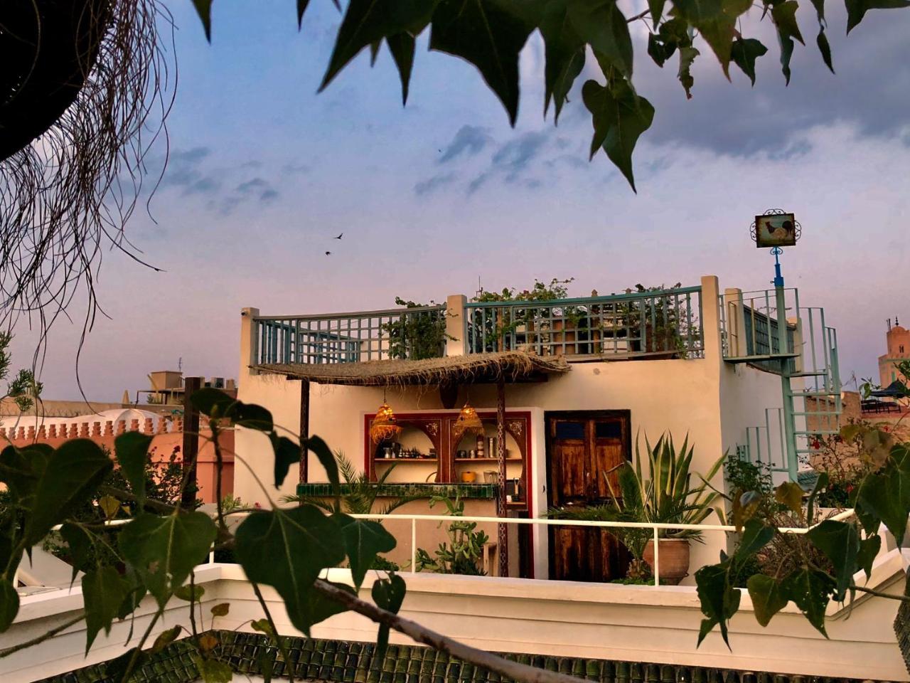 Riad Le Coq Berbere Марракеш Екстер'єр фото
